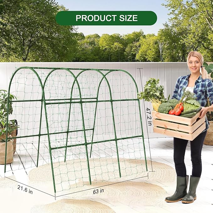 Cucumber Trellis for Raised Bed - Image 3