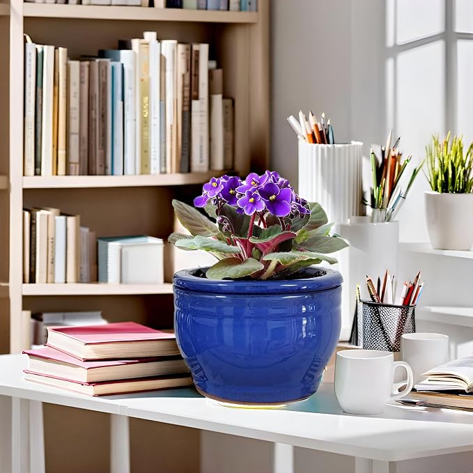 African Violet Pots Self Watering Round Ceramic Violet Pot - Image 9