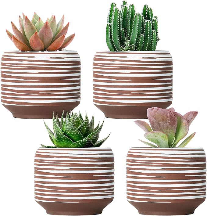Mini Succulent Planter Set – 3.7 Inch Ceramic Pots by Bestseler