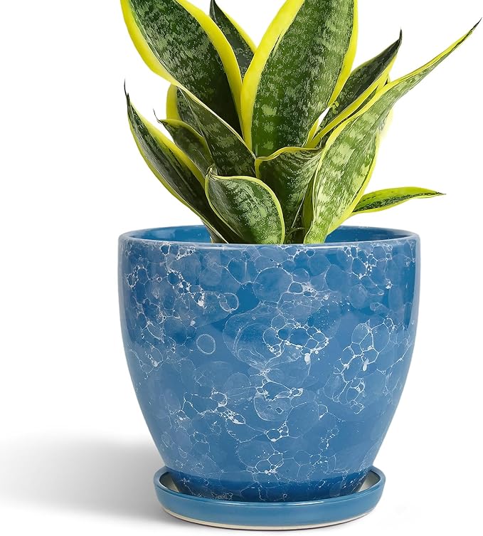 6 Inch Ceramic Plant Pot by EPFamily