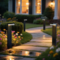 Solar Pathway Lights by VerLuce