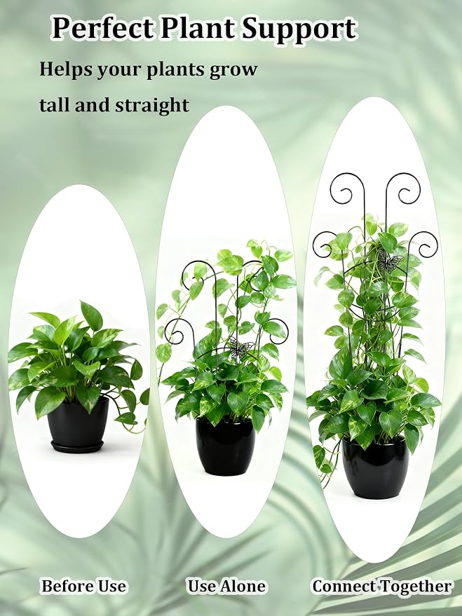 2 Pcs Tall Trellis for Potted Plants, Plant Pothos Climber Support for Monstera - Image 4