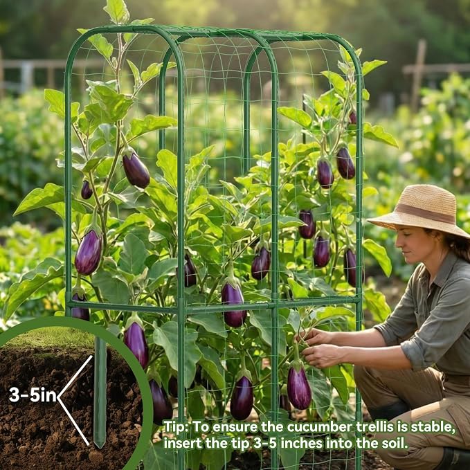 65" Tall Cucumber Trellis for Raised Bed, Garden Trellis for Climbing Plants - Image 7