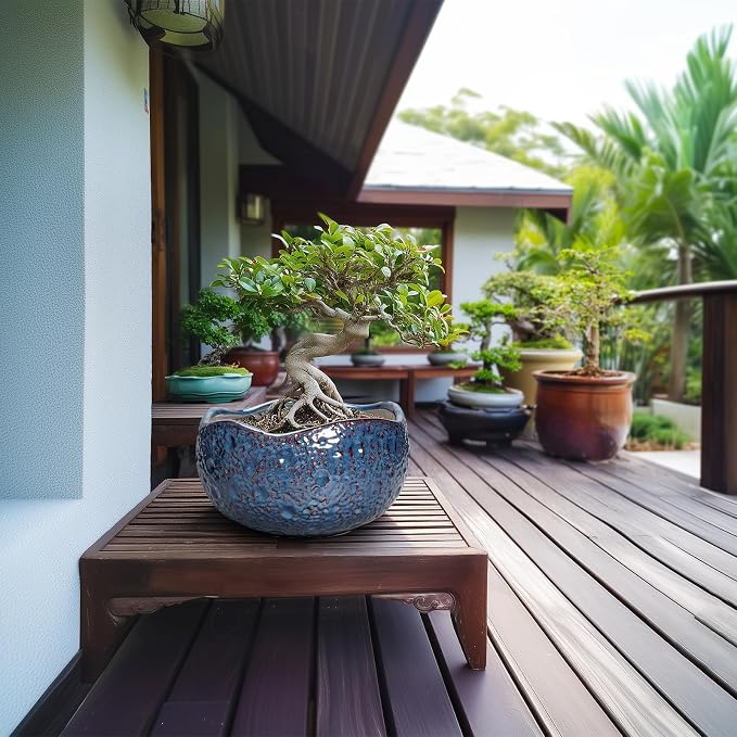 10 Inch Plant Pot - Image 4