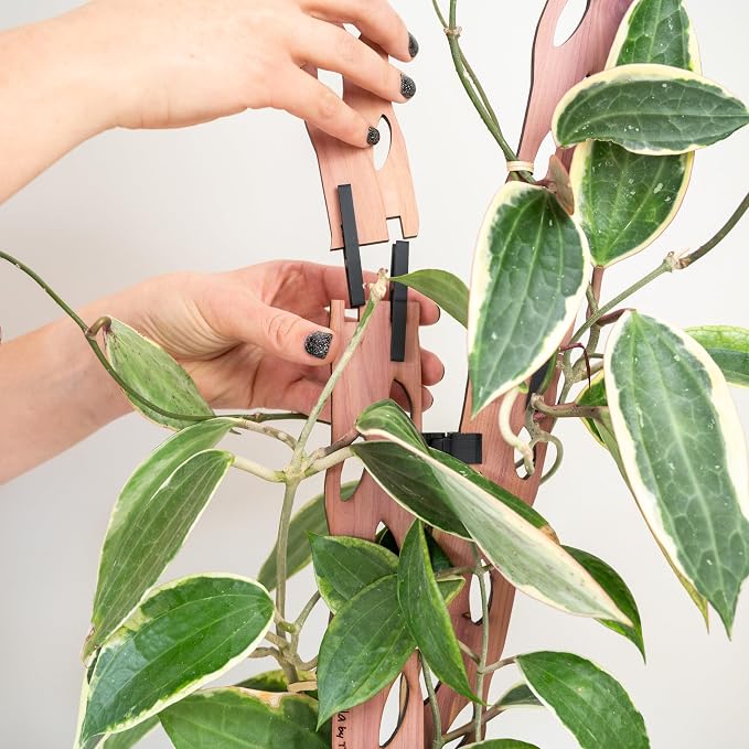 Treleaf Zella Grande Extension Kit - Image 4