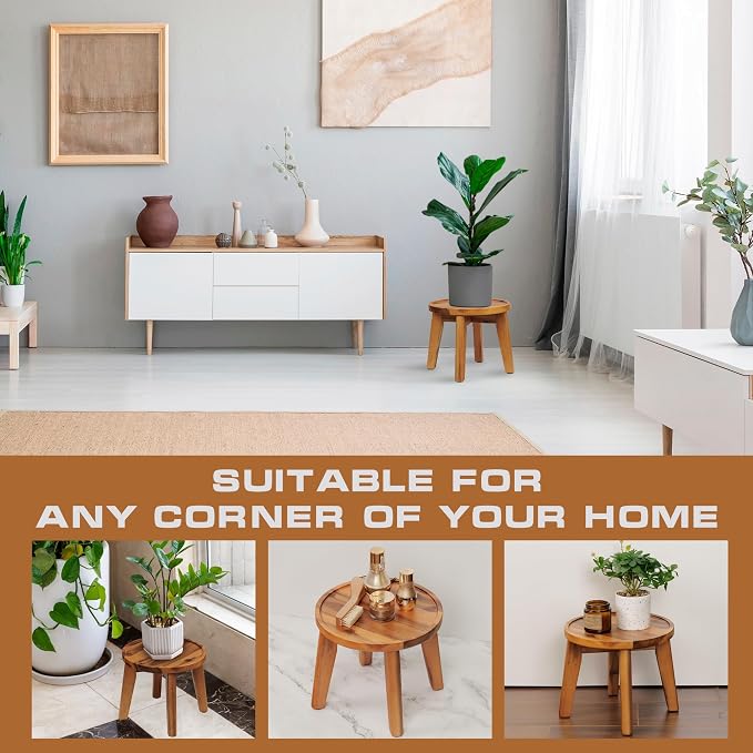 Demigo Indoor Plant Stand, Acacia Wooden Decorative Plant Shelf - Image 5