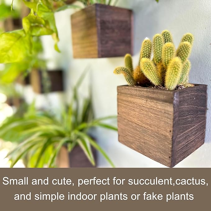 LaLaGreen Wood Planter Boxes for Indoor Plants Small Square Wall Mounted - Image 4