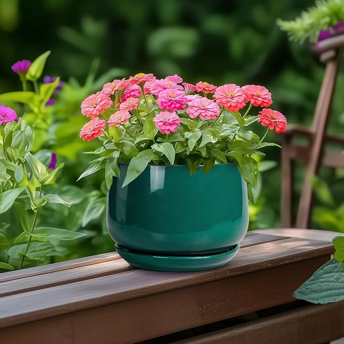 G EPGardening 6 Inch Plant Pot - Image 4