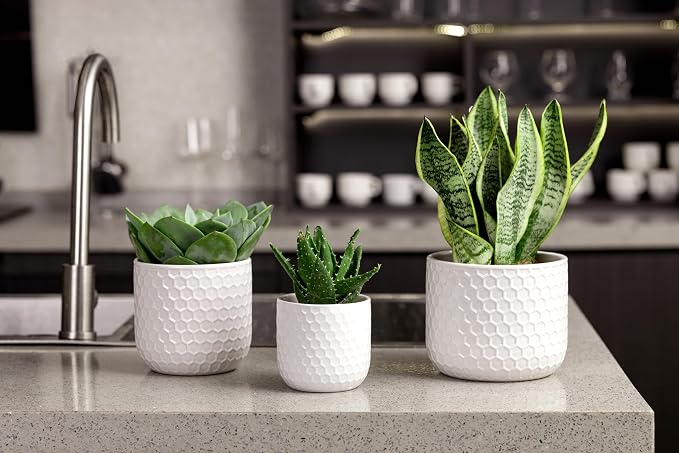 Docrin Plant Pots Indoor with Drainage: 6.4+5.3+4 Inch Ceramic Flower Pots - Image 7