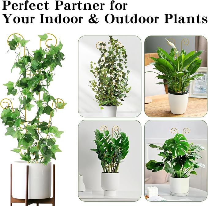 ZOUTOG Trellis for Climbing Plants Indoor 4 Pack 30 Inch, Rustproof Metal - Image 7