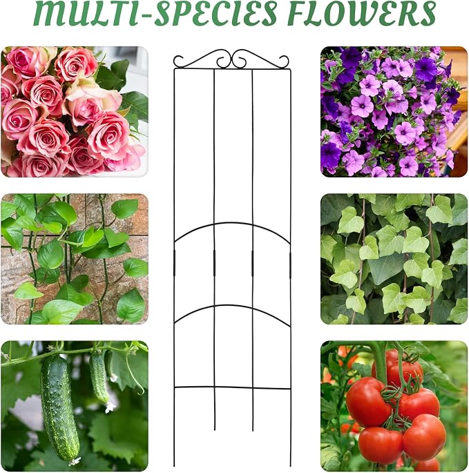 4 Pack 32'' Plant Trellis Indoor - Image 6