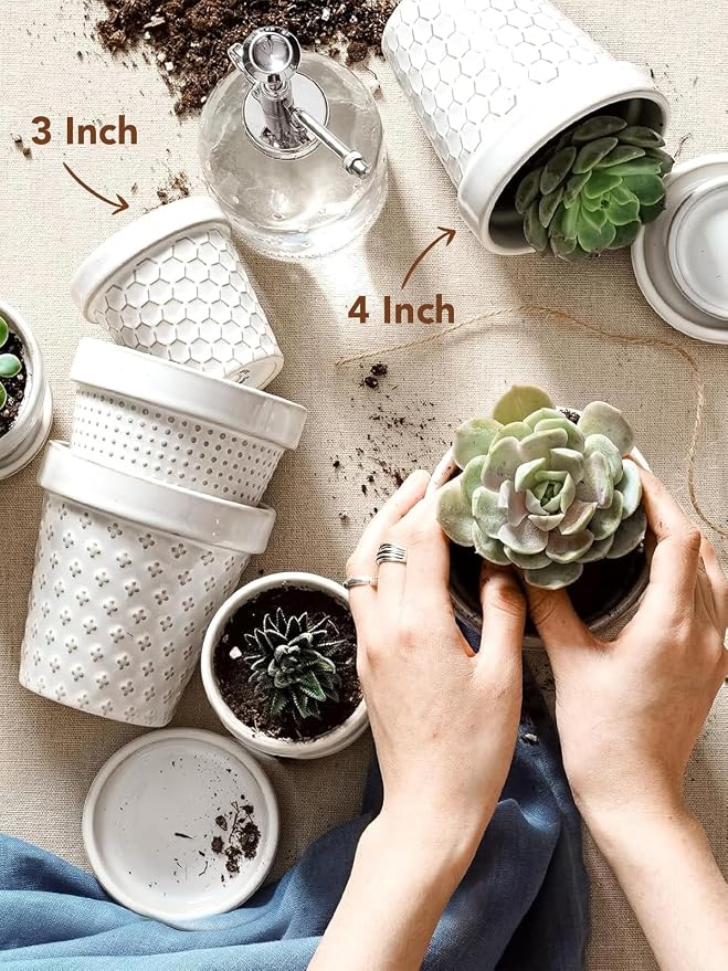 LE TAUCI 3 Inch Mini Succulent Pots - Image 7