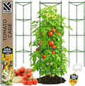 K-Brands Tomato Cage by K-BRANDS