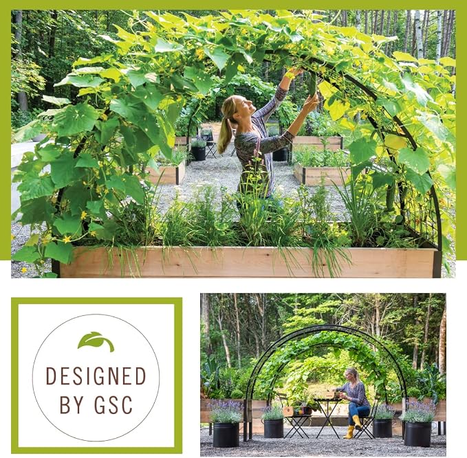 Gardener’s Supply Company Arch Trellis | Garden Arbor fits 2' x 8' Elevated - Image 5