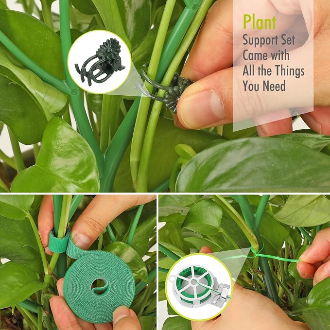 6 Pack Plant Support Stakes for Indoor Plants, 39.37 Inch Tall Twig Plant Sticks - Image 6