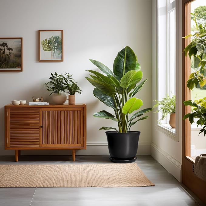 Ceramic Pots for Plants - Image 3