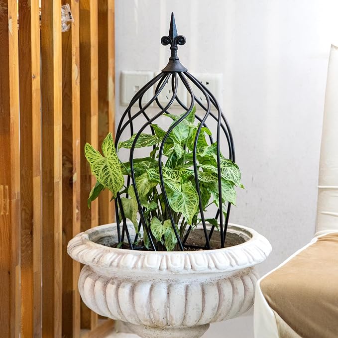 23-Inch Metal Obelisk Trellis for Climbing Plants | Sturdy Iron Design - Image 5