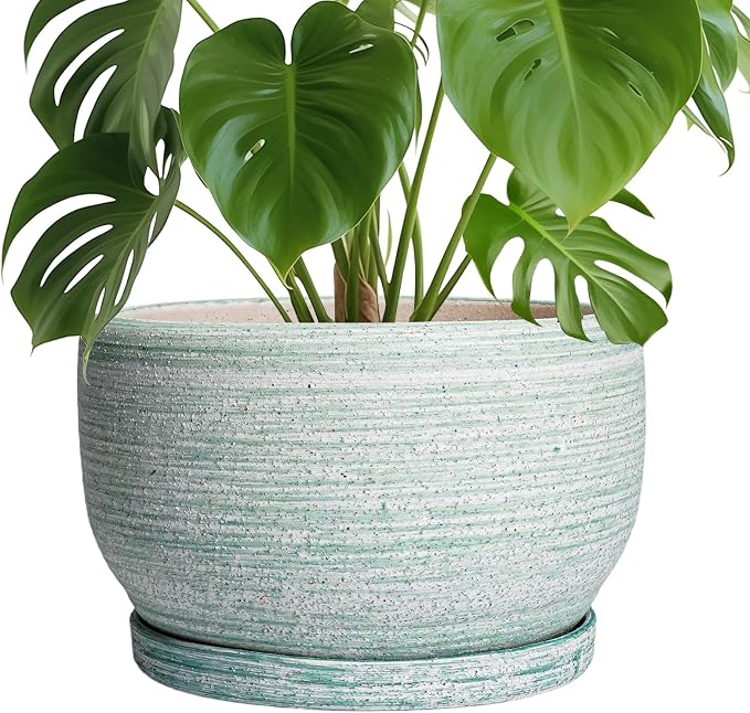 SQOWL Ceramic Pots for Plants by SQOWL