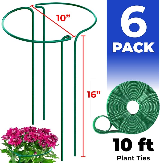 Tall Plant Support Stakes for Indoor and Outdoor - Image 2