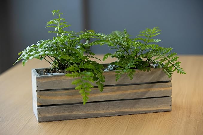 Wood Planter Box with Wine Crate Styled, 12x4 Inch Rectangular, Rustic Barn Wood - Image 3