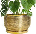 SQOWL Ceramic Planter for Indoor Plants by SQOWL