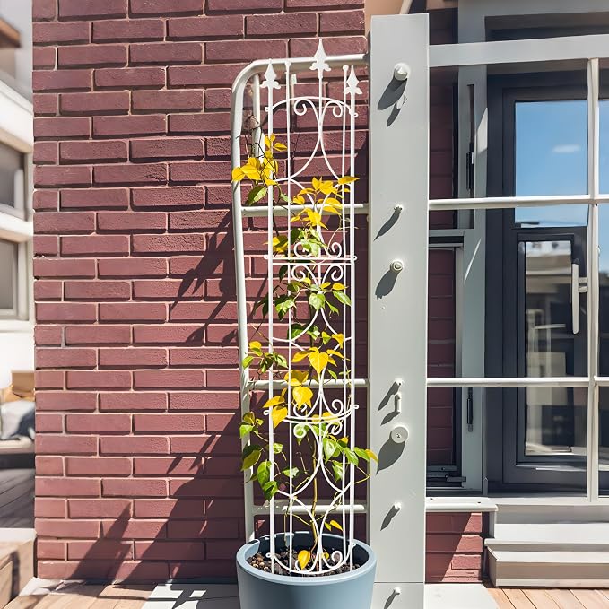 Garden Trellis 2 Pack 72'' H x 12'' W Metal Plant Trellis Indoor/Outdoor Metal - Image 7