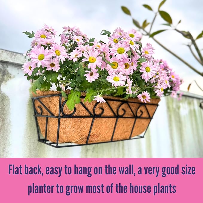 LaLaGreen Wall Planters for Outdoor Plants Window Flower Boxes Basket Attach to - Image 6