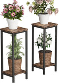 Homeiju 2-Pack Plant Stand Indoor, 2 Tier Wood Corner Plant Stand, Modern by Homeiju