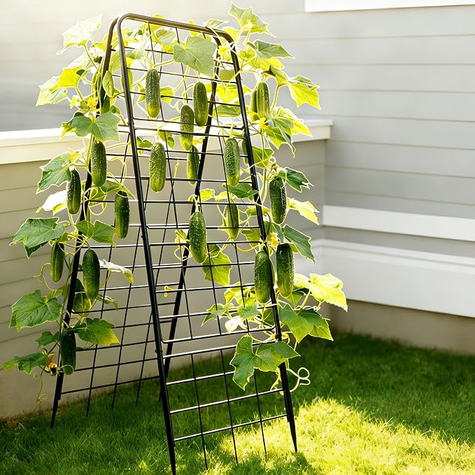 Heavy Duty Adjustable A-Frame Garden Trellis by Unknown