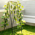 Heavy Duty Adjustable A-Frame Garden Trellis by Unknown