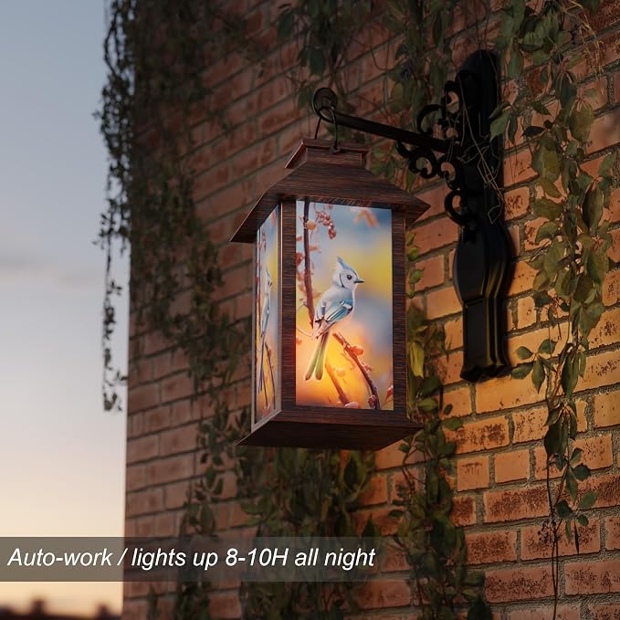 Outdoor Solar Lanterns, Waterproof Blue Jay Hanging Lantern - Image 4