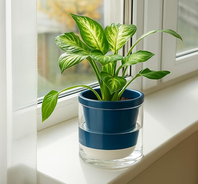 D'vine Dev 6 Inch Design Self Watering Planter - Image 3