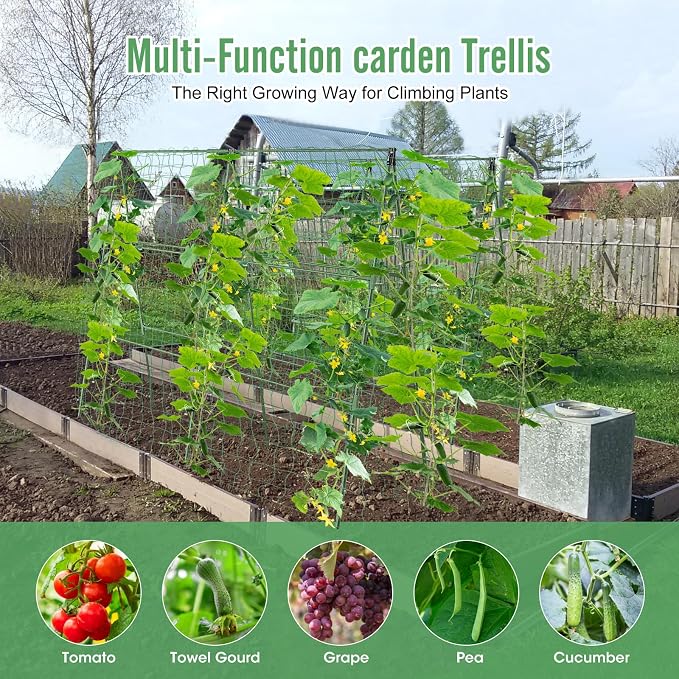 2PCS Cucumber Trellis for Climbing Plants Outdoor, Garden Trellis for Raised - Image 5