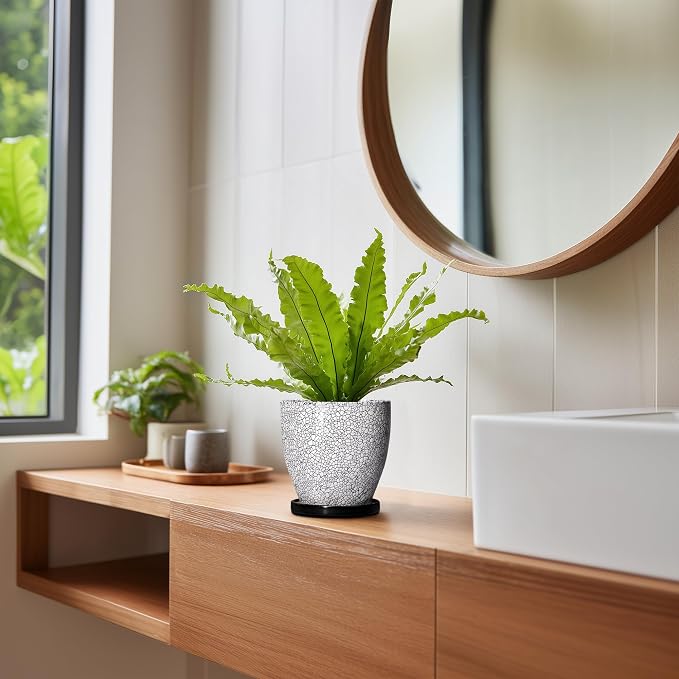 Ceramic Plant Pots - Image 7