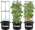 ANPHSIN 3 Sets Tomato Cages by ANPHSIN