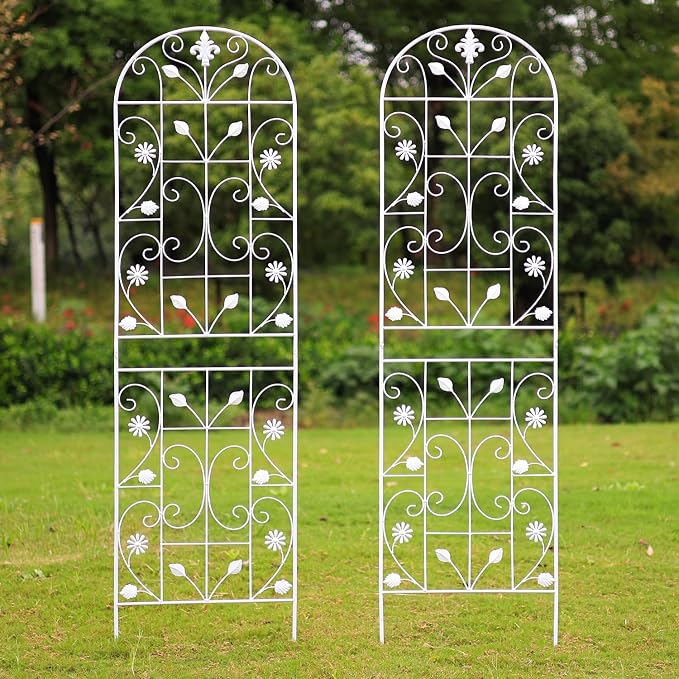 Trellis for Climbing Plants Outdoor, （2 Pack 70.8x19.6-inch）, Generic Metal by Unknown