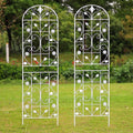 Trellis for Climbing Plants Outdoor, （2 Pack 70.8x19.6-inch）, Generic Metal by Unknown