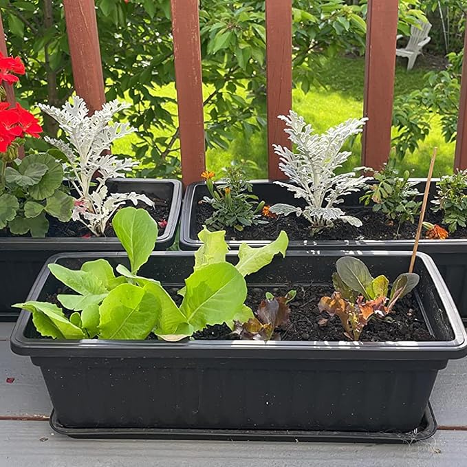 6 Pack 17 Inch Flower Window Box, Plastic Vegetable Planters Long Pots - Image 6