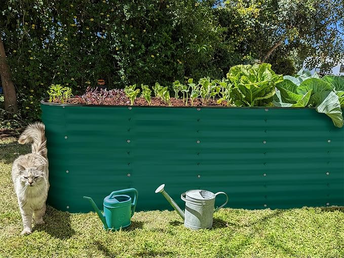 Plant & Plot Galvanized Raised Garden Beds Outdoor // 6×2×2 ft Planter Raised - Image 6