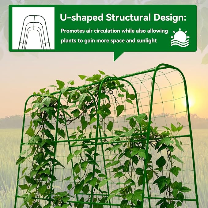 Cucumber Trellis - Image 5