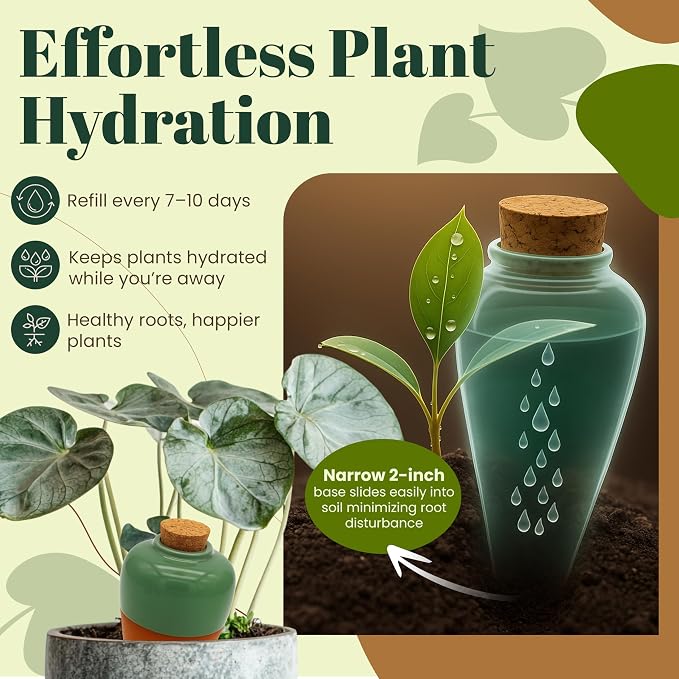 Terracotta Self Watering Planter Insert - Image 3
