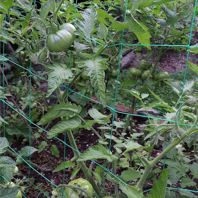 Trellis Netting for Climbing Plants - Image 3