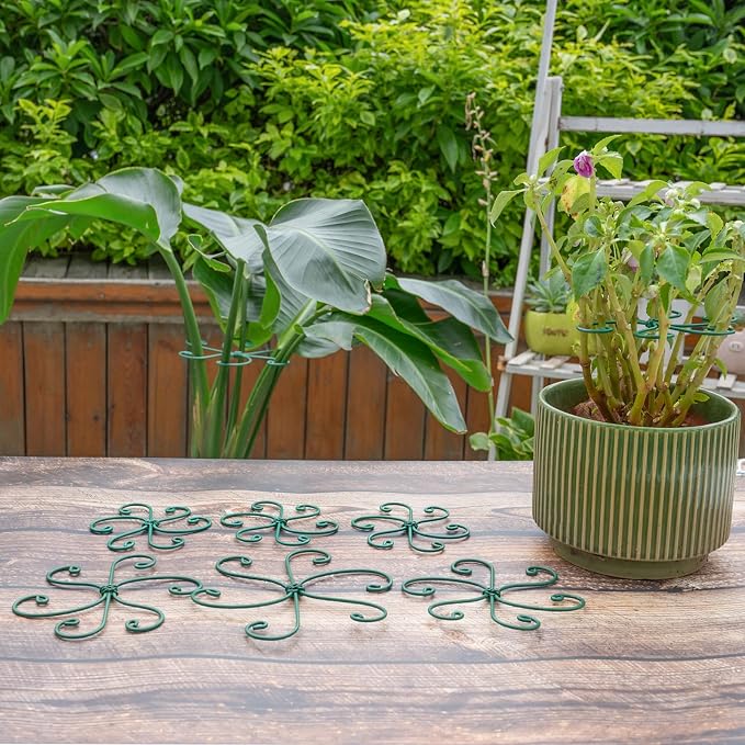 Monstera Plant Stem Support - Image 7