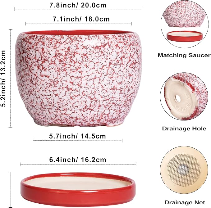 SQOWL Ceramic Pots for Plants - Image 3
