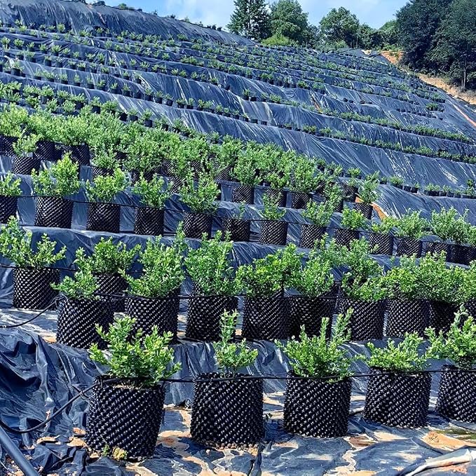 5 Gallon Air Pruning Containers, Roots Control Planter New Plastic Nursery Pots - Image 2