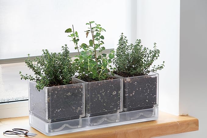 D'vine Dev Herb Garden Planter Set, Plastic Plant Pots - Image 2