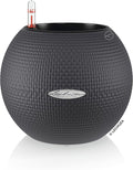 Lechuza Puro Color 20 Slate, Self-Watering Small Indoor Planter, D7.9 H6.3 in by LECHUZA