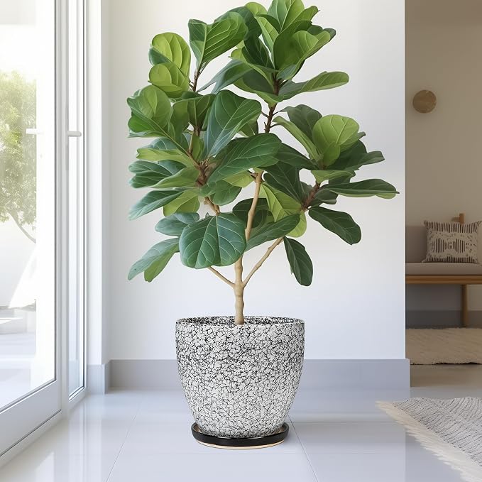 10 Inch Plant Pot - Image 4