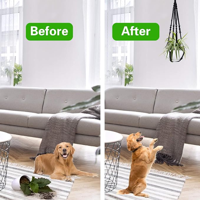 Augshy Macrame Hanging Planter, 2 Pack Hanging Planters - Image 6