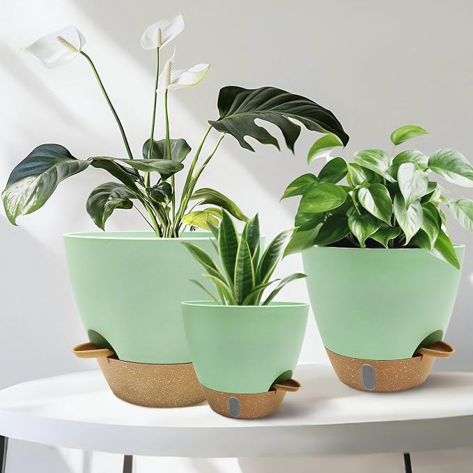 12/10/9/8 inch Self Watering Pots - Image 7